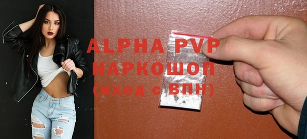 эйфоретик Кукмор
