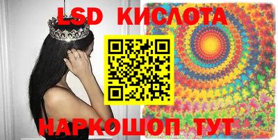 дмт Камышлов