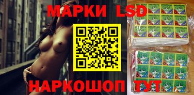 дмт Камышлов