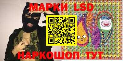 шишки Кандалакша