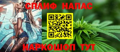 шишки Кандалакша