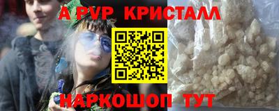 шишки Кандалакша