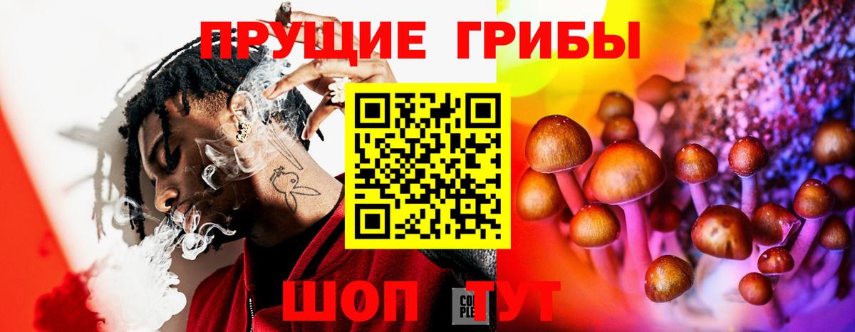 Псилоцибиновые грибы Cubensis  Вход с VPN  Мелеуз  Псилоцибиновые грибы GOLDEN TEACHER 