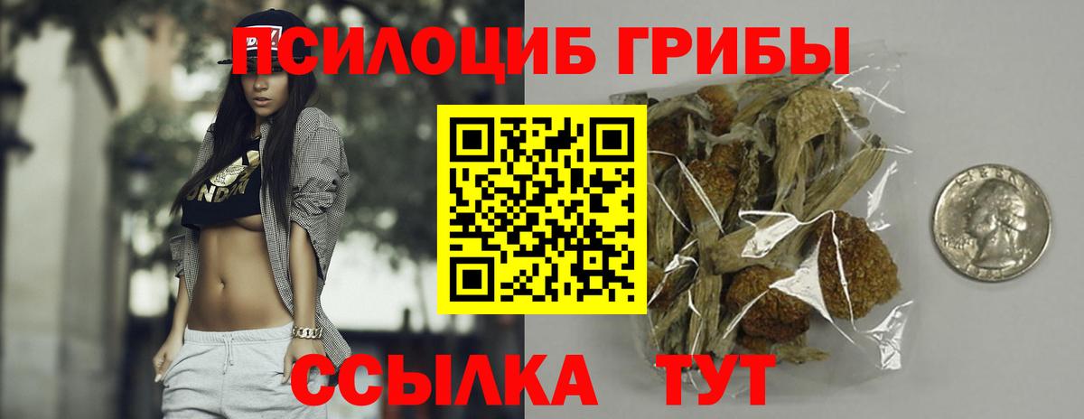 Галлюциногенные грибы Psilocybine cubensis Мелеуз
